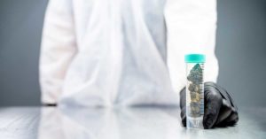 Person in Lab Coat Holding Clear Vial filled with Safe Cannabis